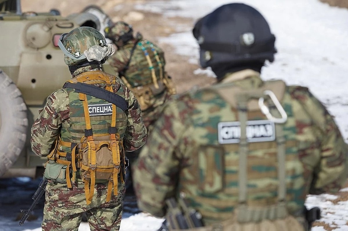 В России заявили о задержании подростка, готовившего бойню в школе: видео