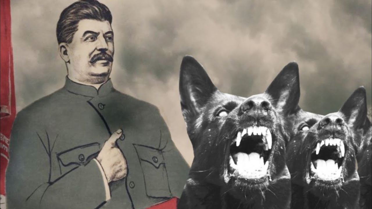 ХВОСТ ЧЕКИСТСКОЙ СОБАКИ