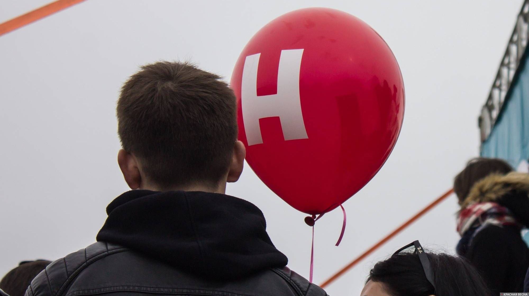 А пони тоже кони