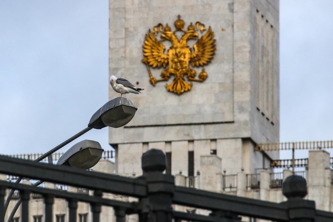 Власть уже мертва, она просто об этом еще не знает