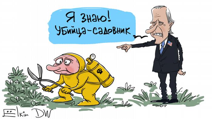 Некоторая сложность