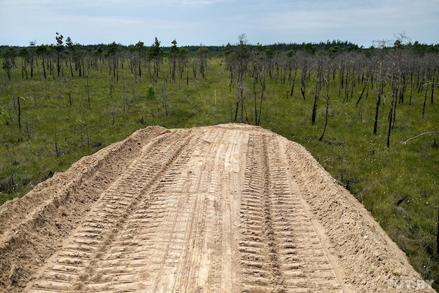 Такие перспективы (Часть 1)