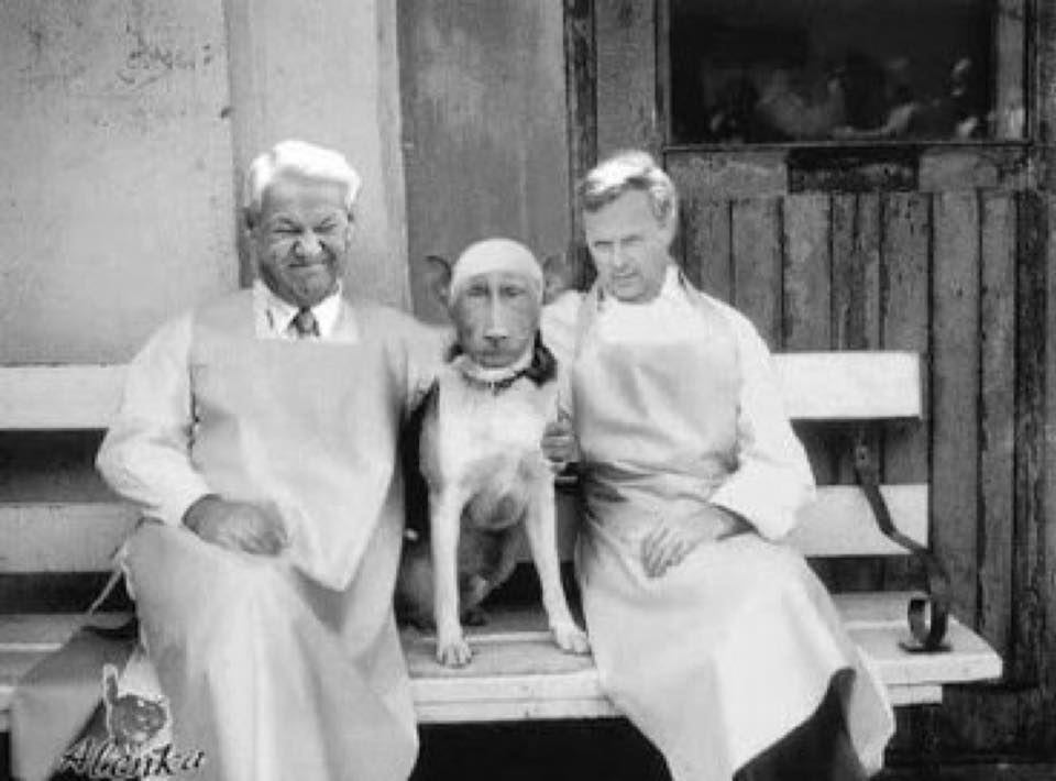 Слава Рабинович: почему никто вслух не говорит главной правды?