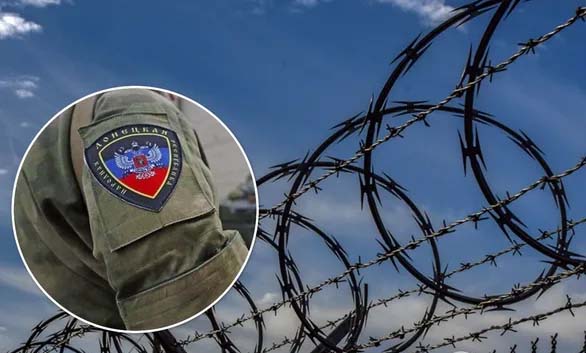 Слезы радости за "народ Донбасса": вот вам, бесплатный валежник