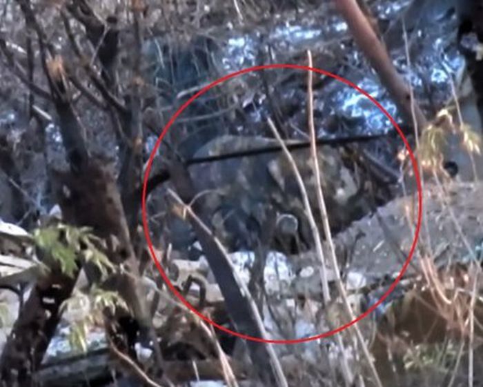 «Поехал на концерт Кобзона»: Воины 54-й ОМБр показали видео ликвидации российского снайпера