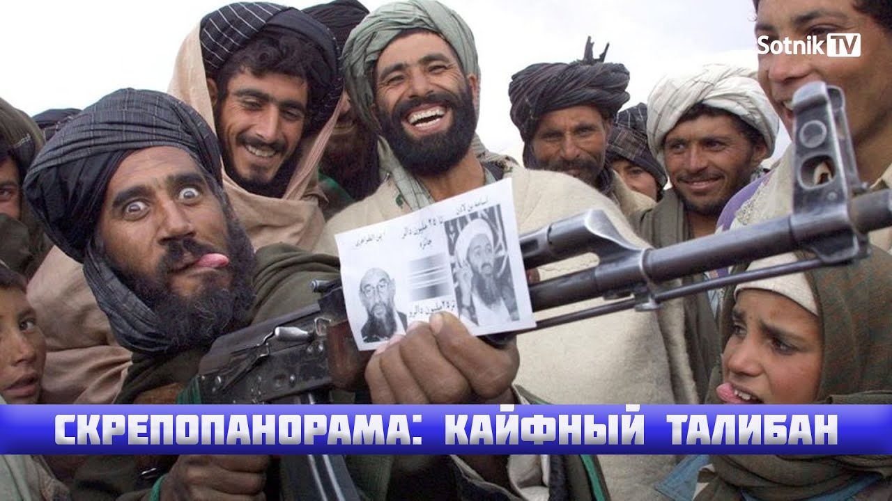 СКРЕПОПАНОРАМА: КАЙФНЫЙ ТАЛИБАН (Видео)