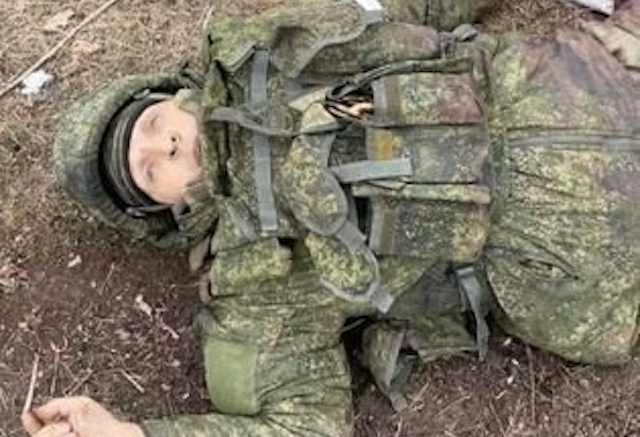 Валежник