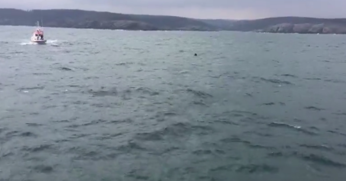 В Босфоре обнаружили российскую мину, мощности которой могло хватить для уничтожения корабля