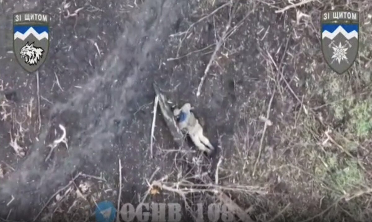Беспилотник снял на видео, как оккупант застрелился в окопе (Видео)