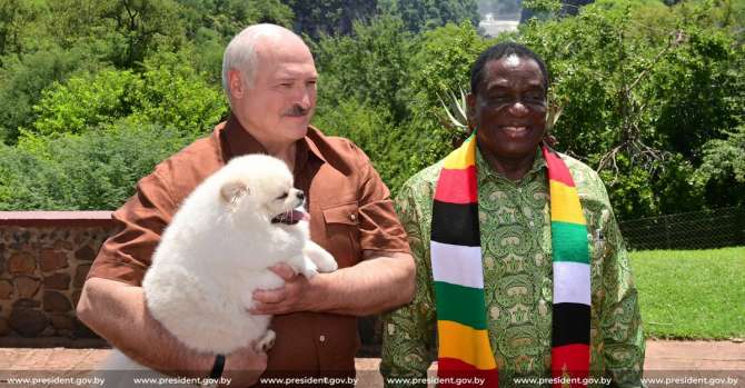 Смотрите, он еле идет!