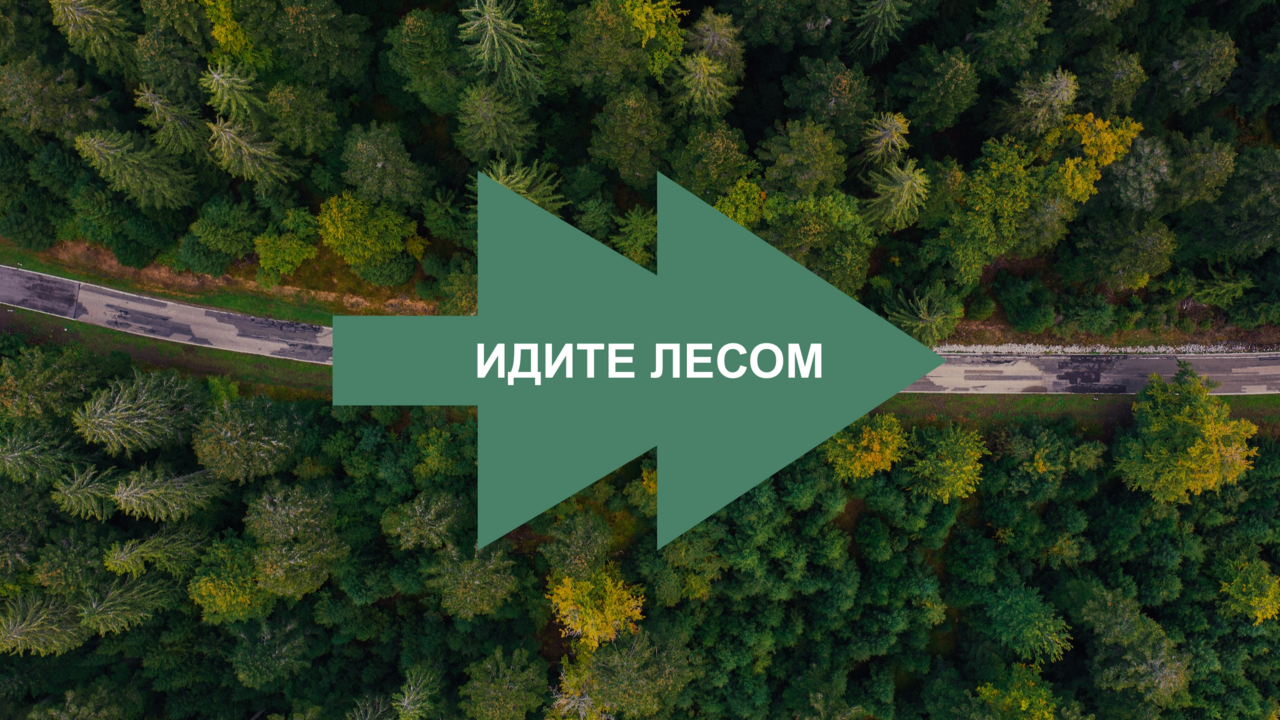 “Уехать – роскошь”. В России тысячи военнообязанных скоро не смогут покинуть страну. Почему они не пытаются сделать это прямо сейчас?