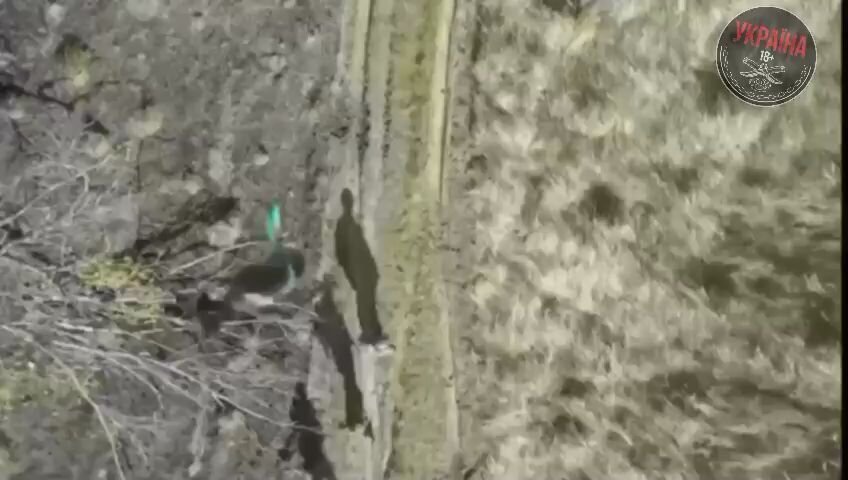 "Своих не бросаем": оккупанты ограбили раненого товарища и оставили умирать (Видео)