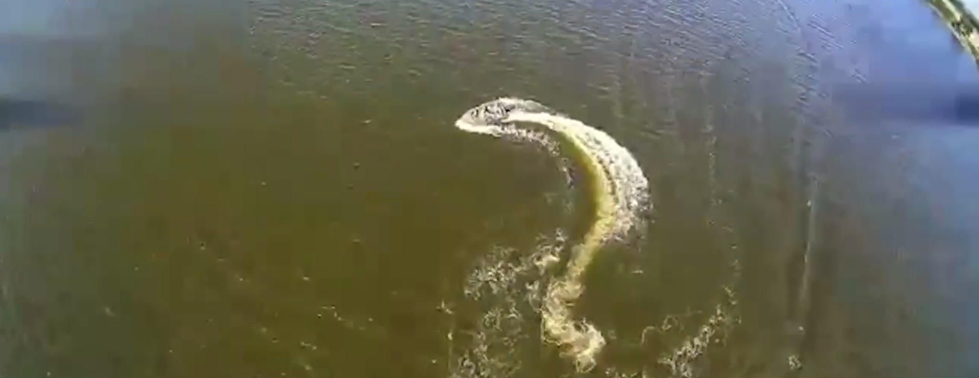 Маневрирование не помогло: ССО показали эффектные кадры уничтожения катера FPV-дроном