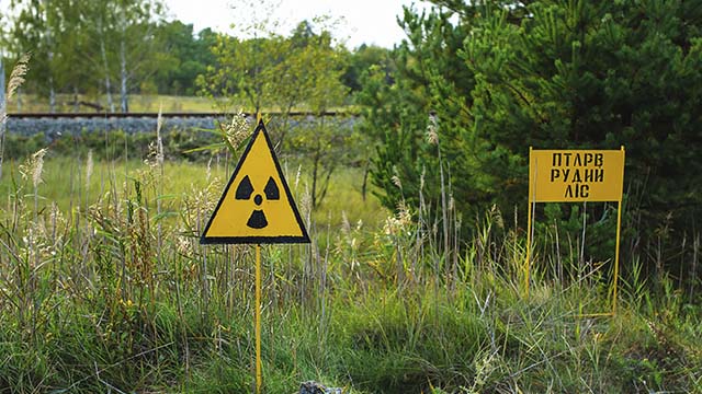 Военные РФ, окопавшиеся в Рыжем лесу в Чернобыльской зоне, не выжили
