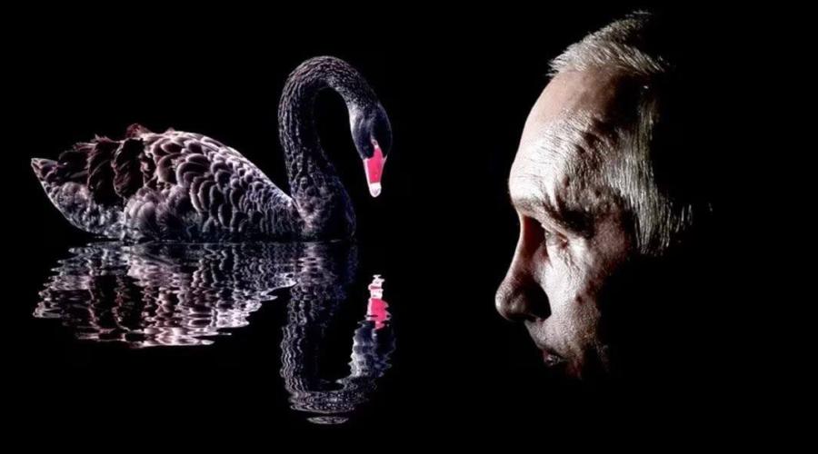 Черные лебеди на службе режима