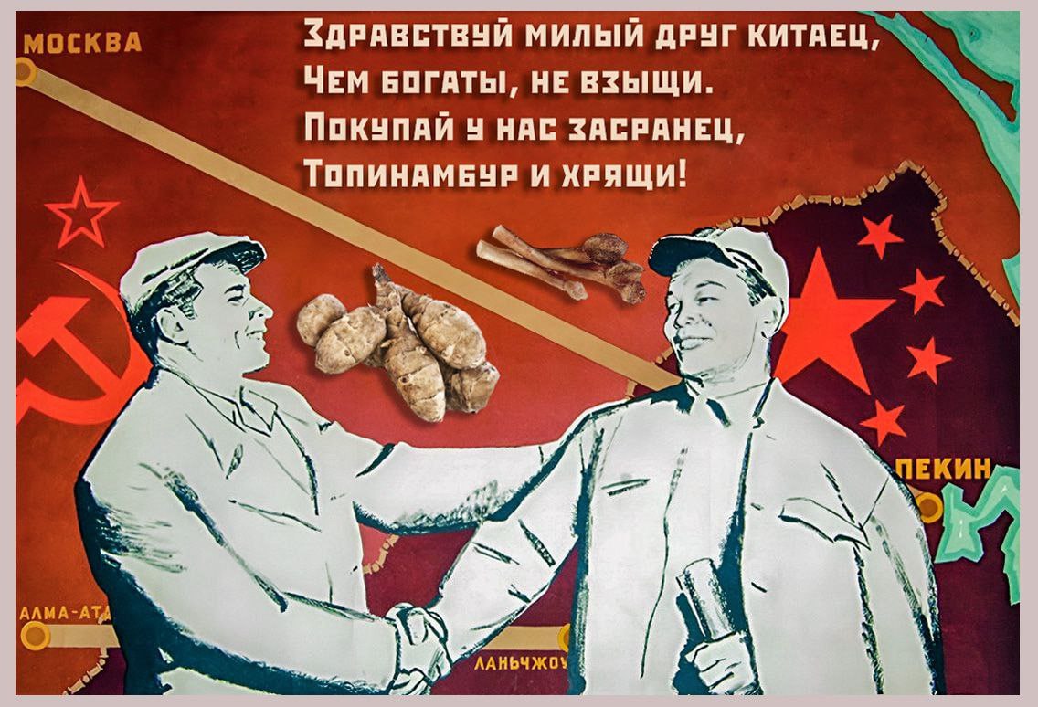 Лесть Путина и партнерство неравных: реальные итоги поездки российского диктатора в Китай