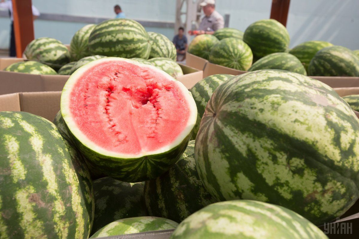 Андрющенко рассказал, как удалось потравить в Мариуполе оккупантов арбузами