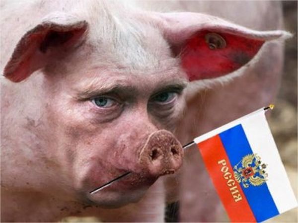 Свиньи и погоны (Часть 1)