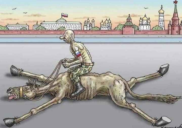 С днюхой не сложилось? (Часть 2)