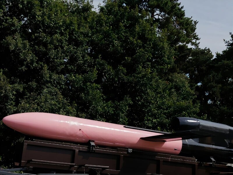 "Подарок для Путина". В Чехии начали сбор средств на ракету "Фламинго" для ВСУ, способную поразить Москву