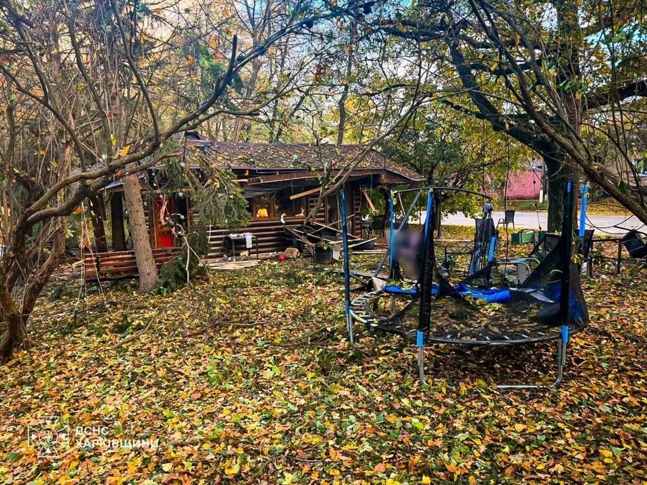 ГСЧС: дрон ударил по парку в Харьковской области: среди погибших — трое детей
